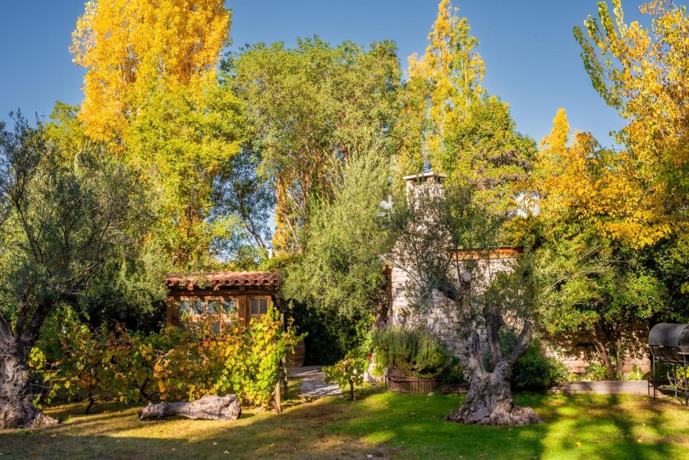 Aromos De Olivares Chacras de Coria Exteriér fotografie